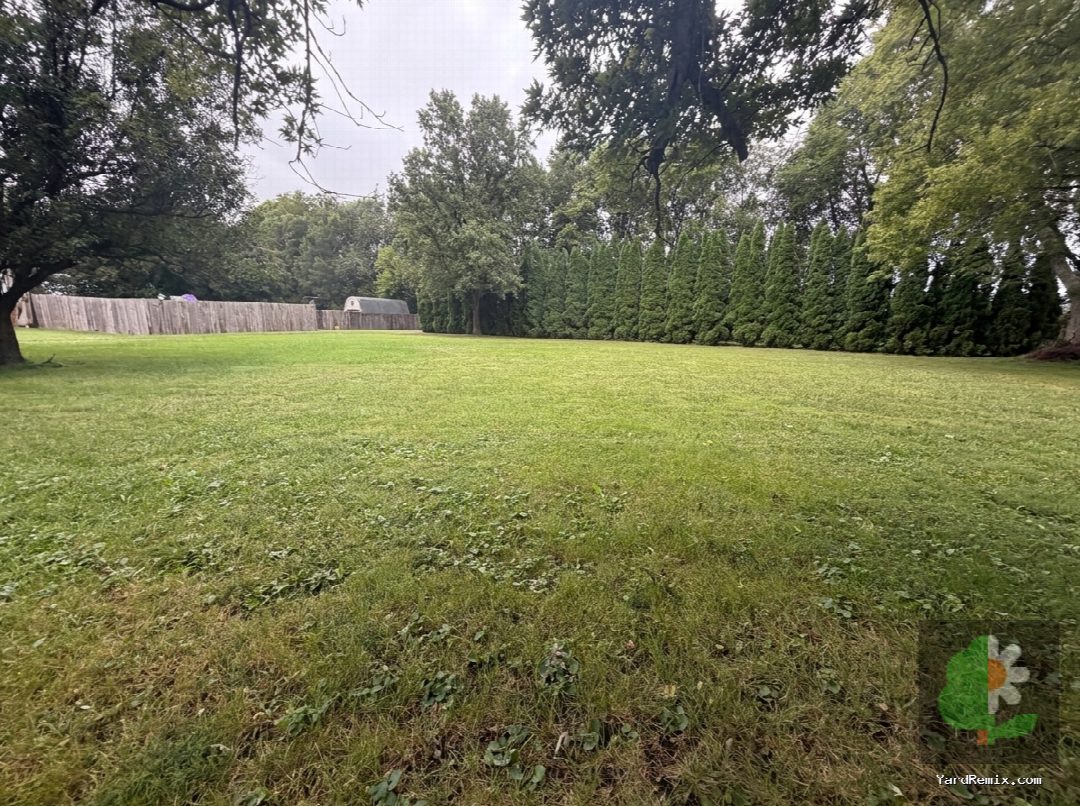 After: the yard remixed into Arborvitae by YardRemix AI