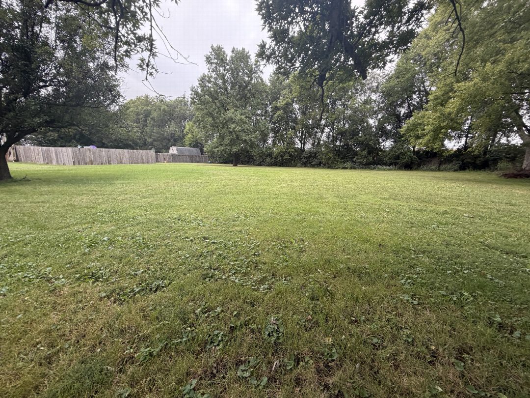 Before: the original yard photo