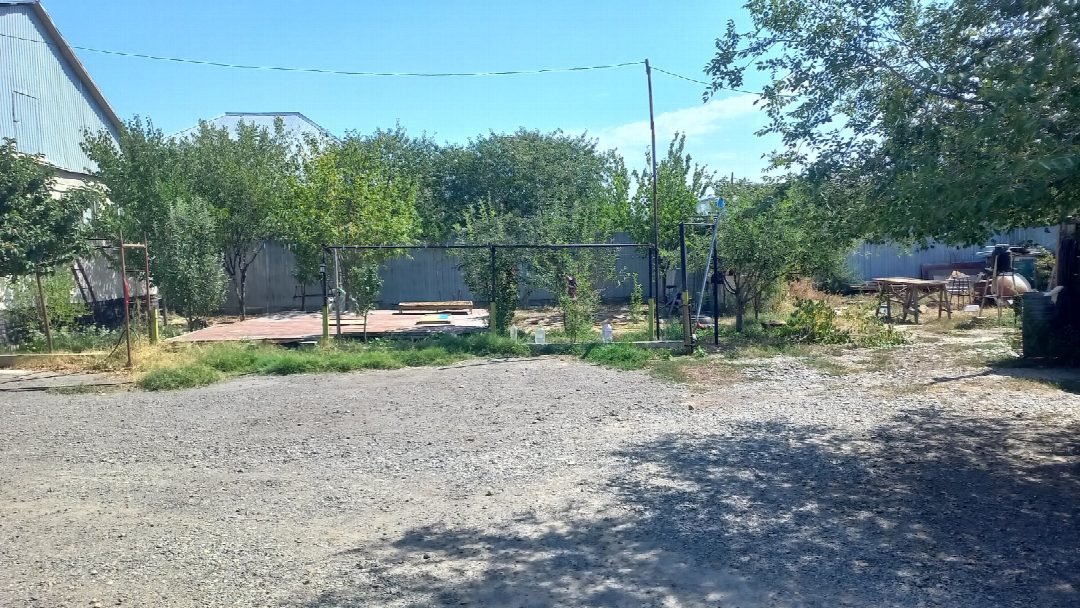 Before: the original yard photo