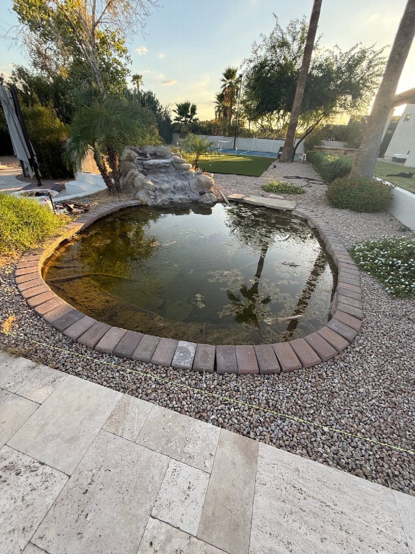 Before: the original yard photo