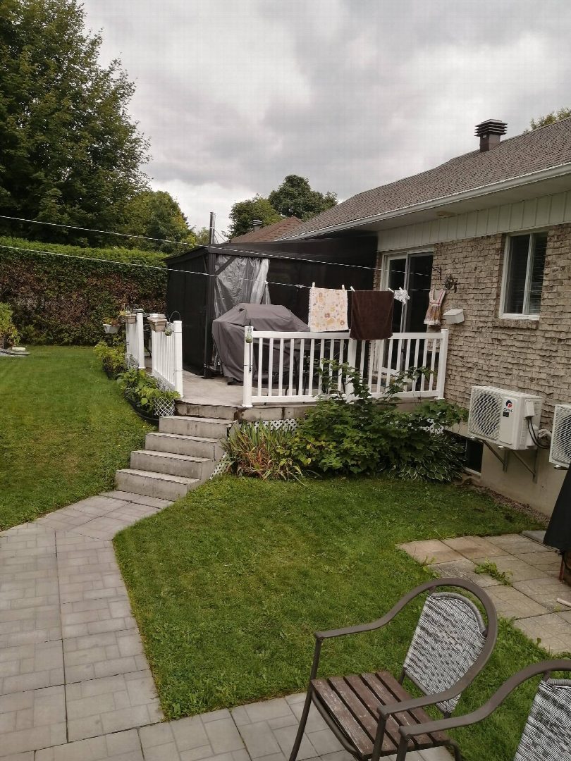 Before: the original yard photo