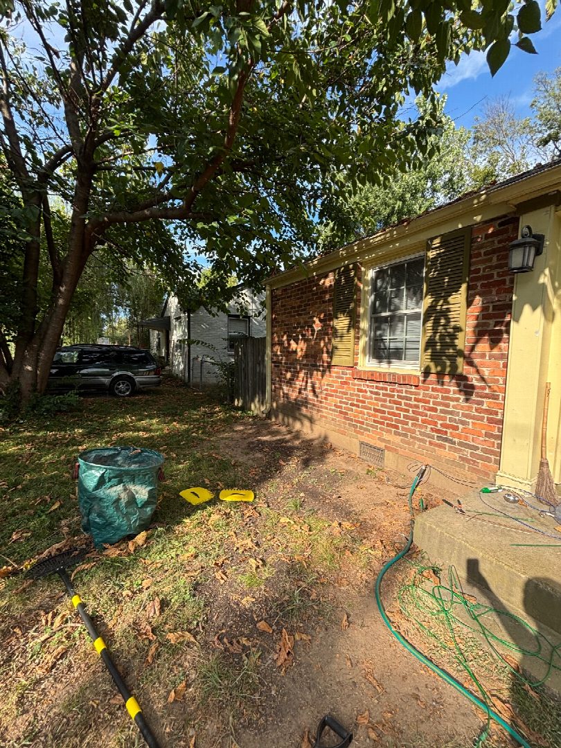 Before: the original yard photo