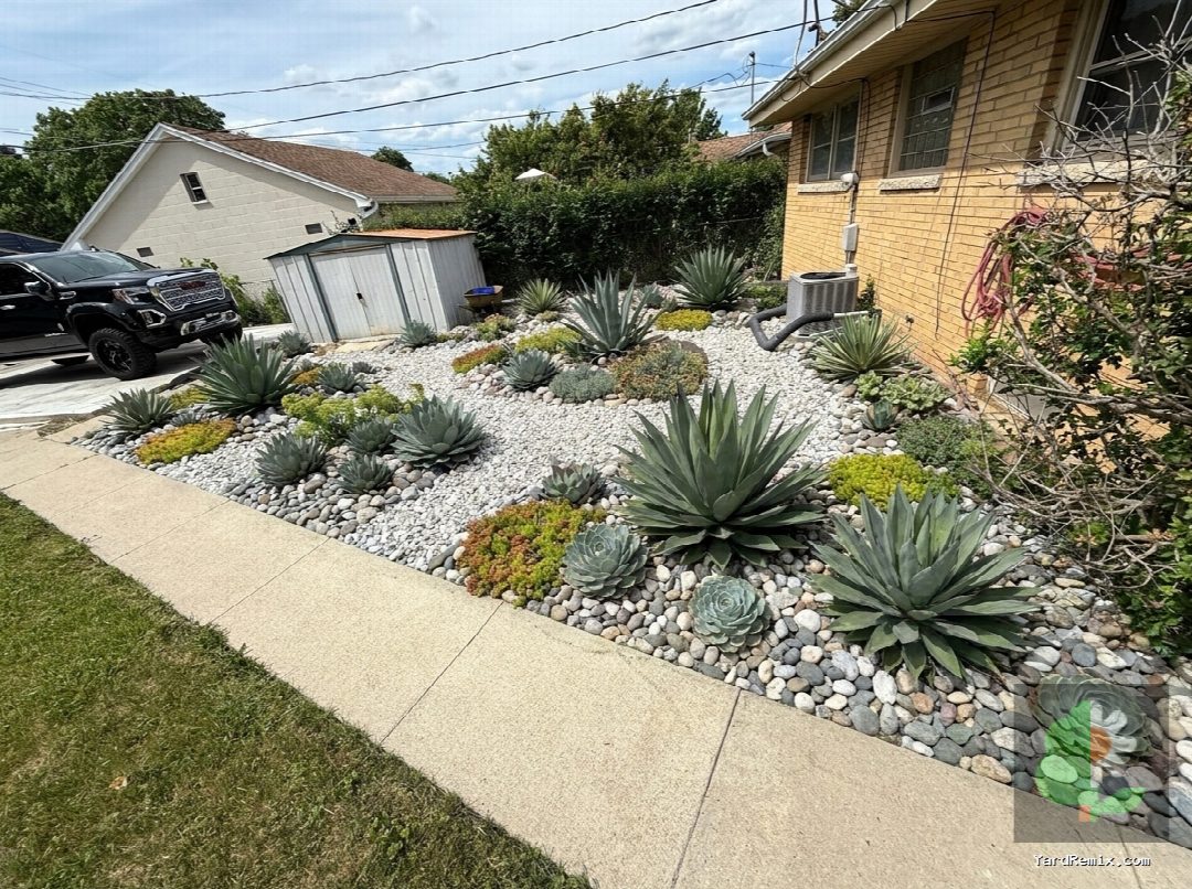 After: the yard remixed into Succulent Garden by YardRemix AI