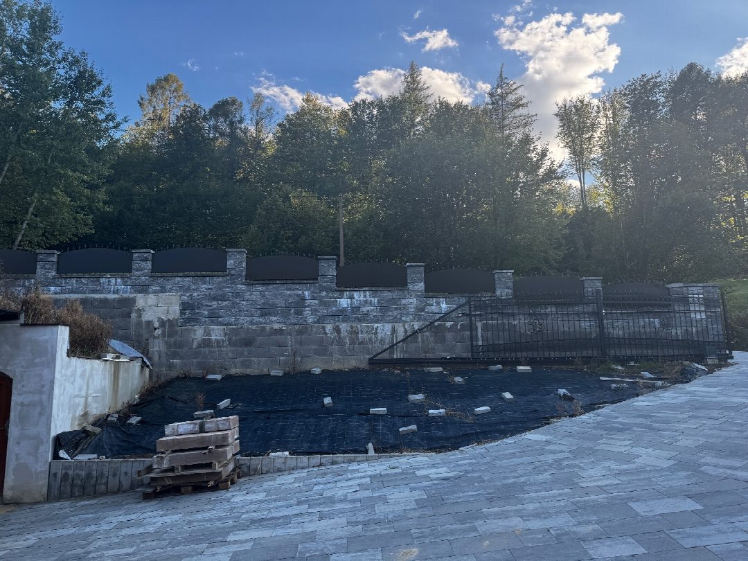 Before: the original yard photo
