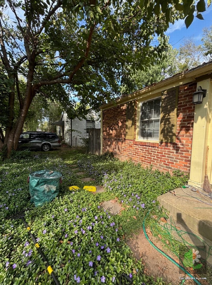 After: the yard remixed into Ground Cover by YardRemix AI