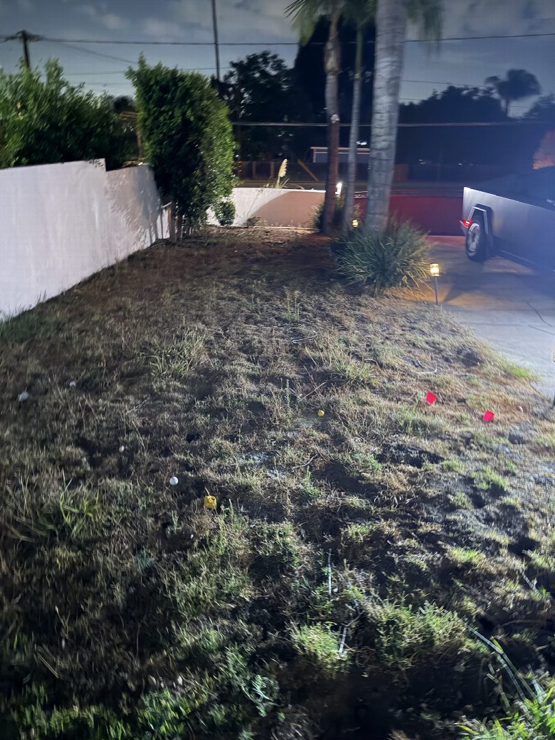 Before: the original yard photo