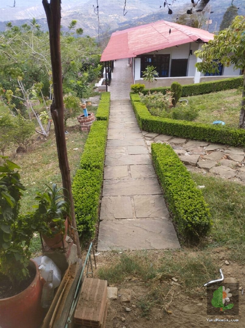 After: the yard remixed into Boxwood Hedges by YardRemix AI
