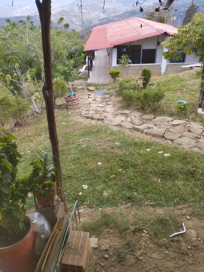 Before: the original yard photo