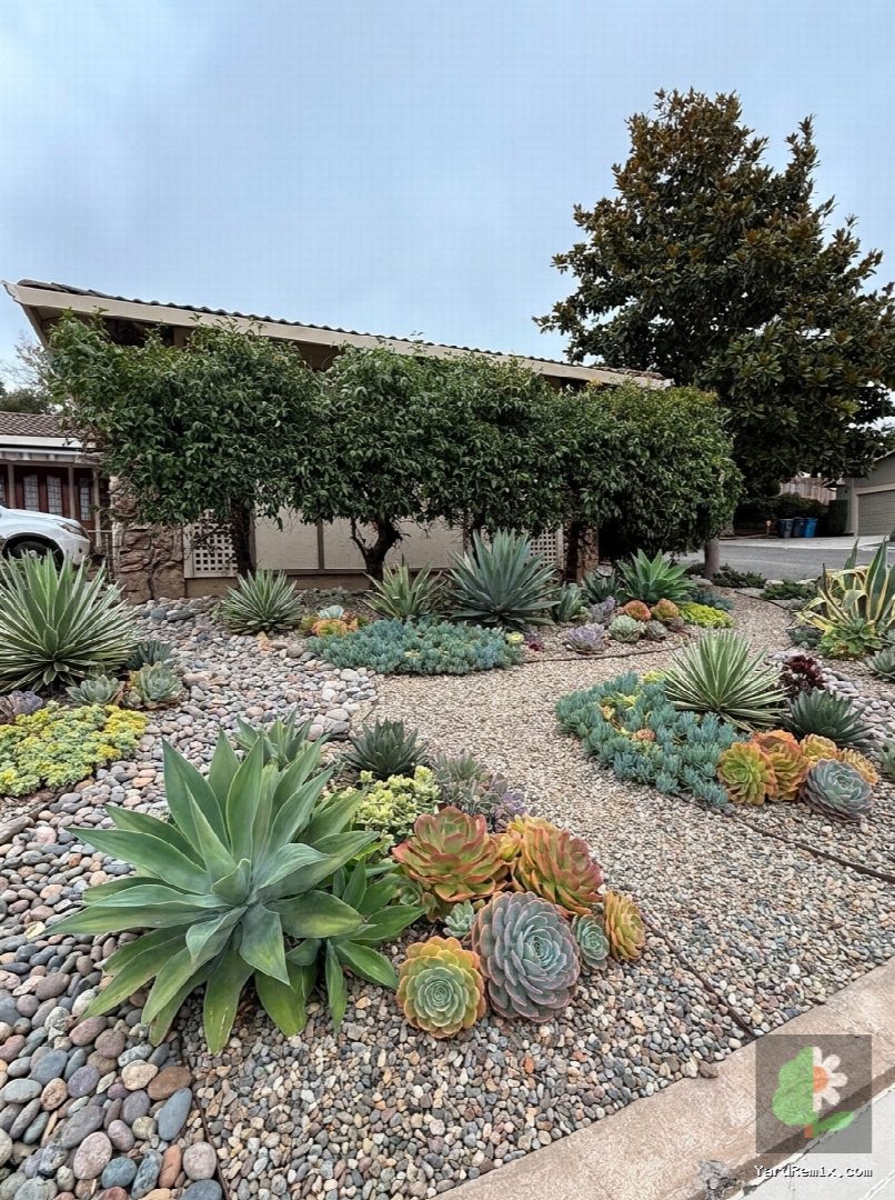 After: the yard remixed into Succulent Garden by YardRemix AI
