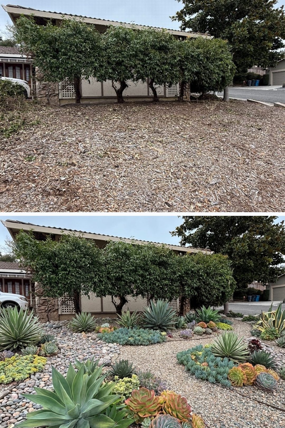 Before and after: yard remixed into Succulent Garden with YardRemix AI