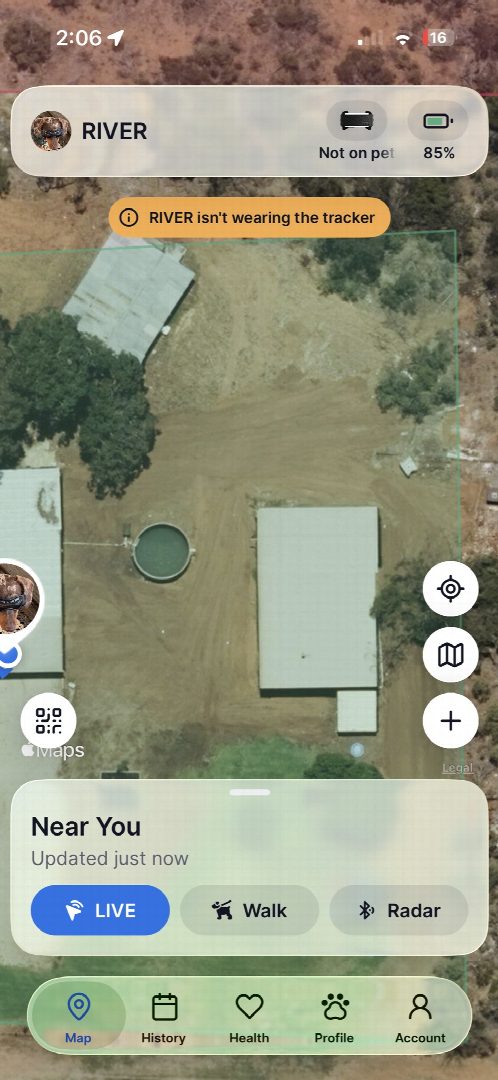 Before: the original yard photo