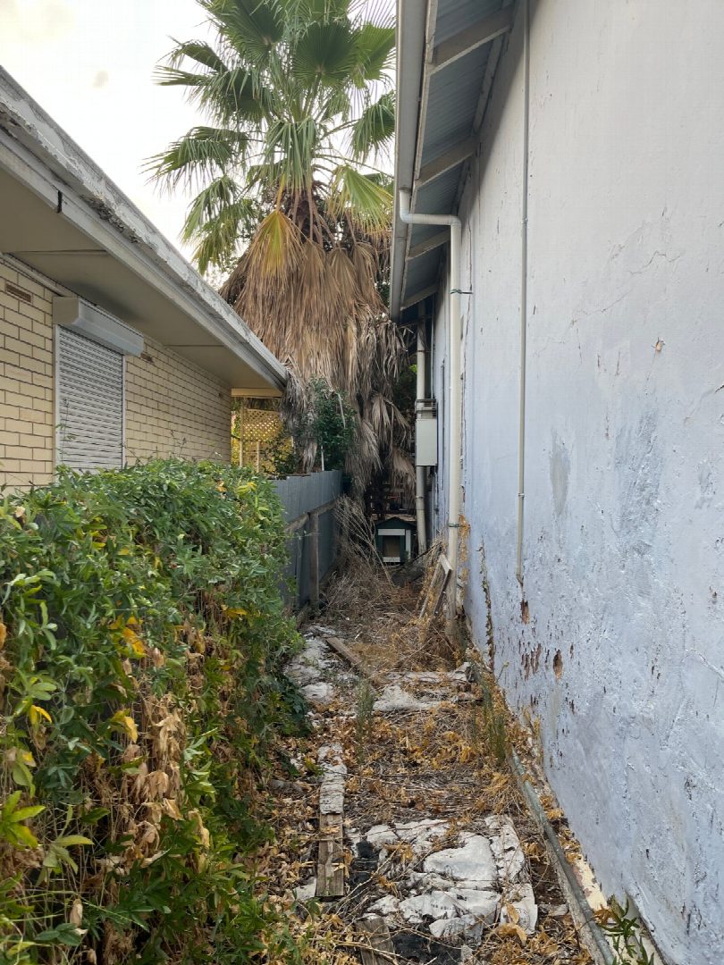 Before: the original yard photo