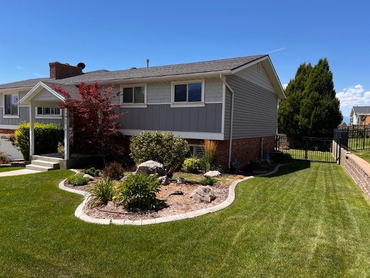Before: the original yard photo