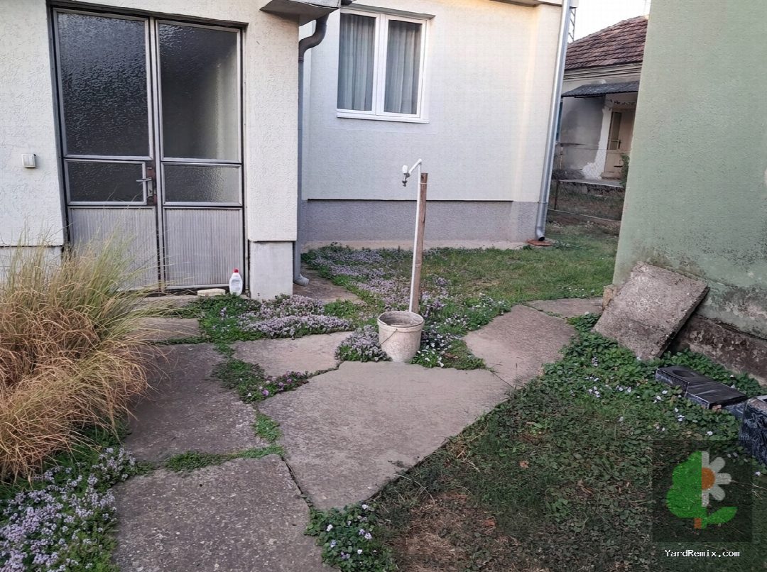 After: the yard remixed into Ground Cover by YardRemix AI