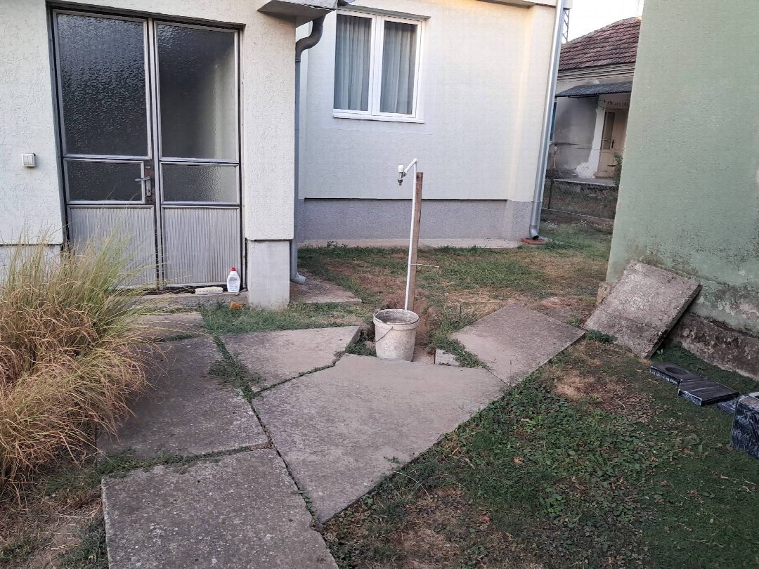 Before: the original yard photo