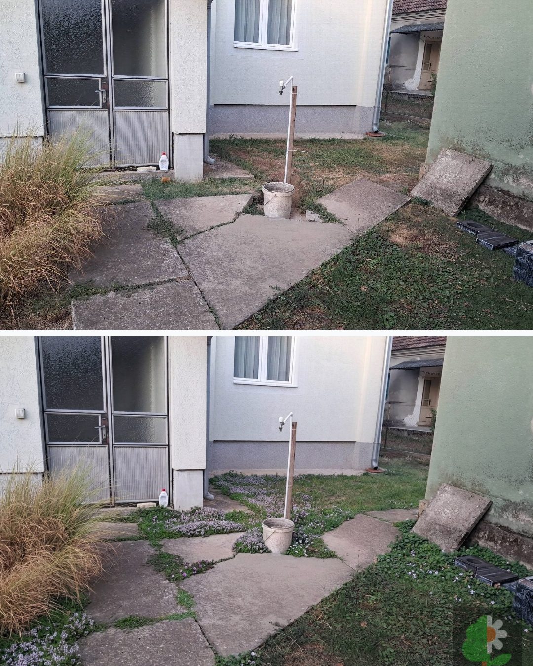 Before and after: yard remixed into Ground Cover with YardRemix AI