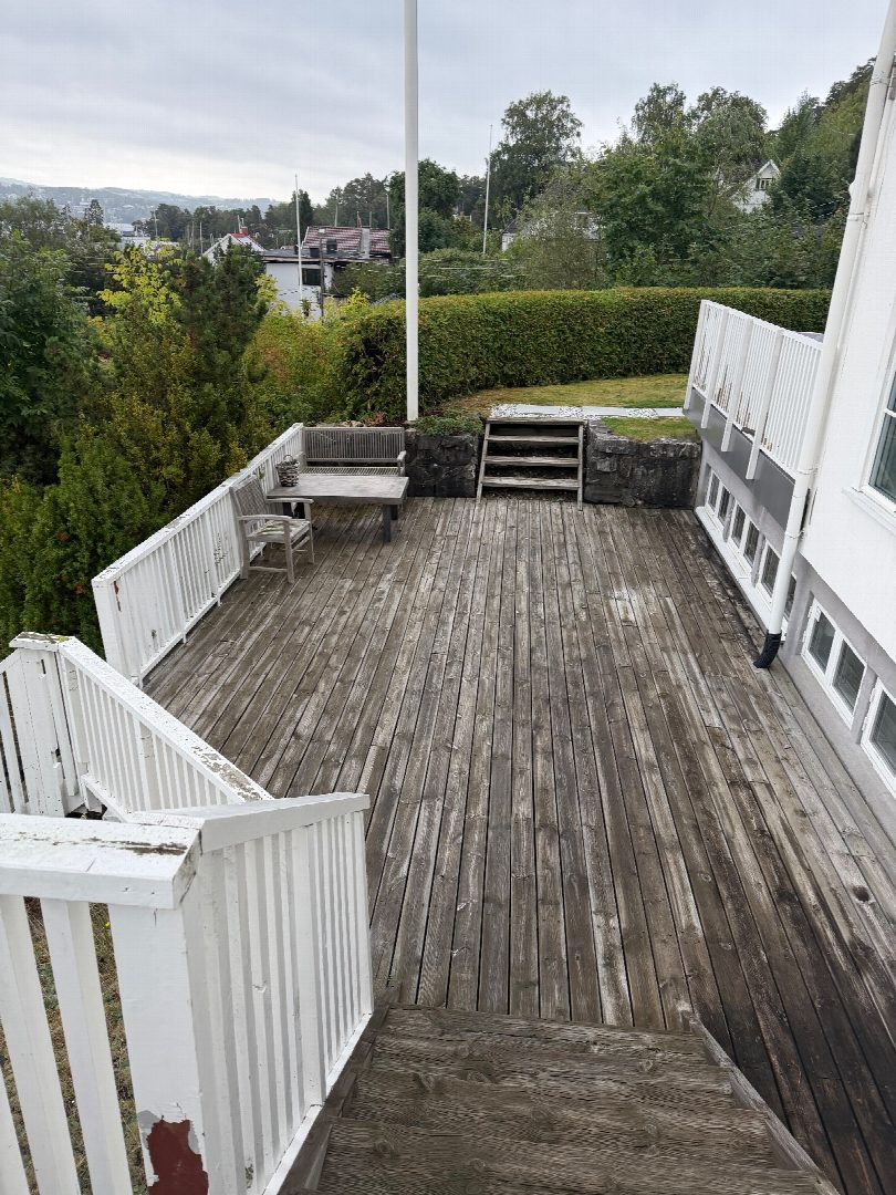 Before: the original yard photo