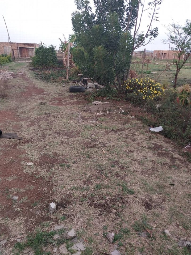 Before: the original yard photo