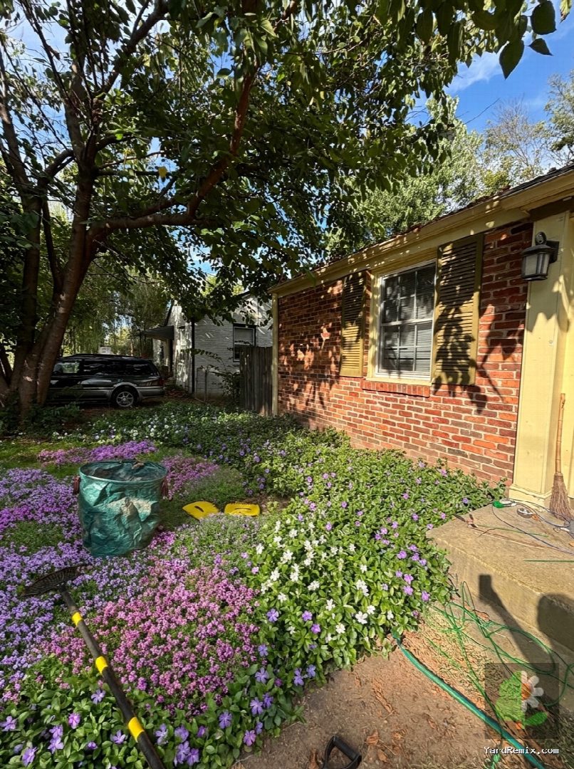 After: the yard remixed into Ground Cover by YardRemix AI