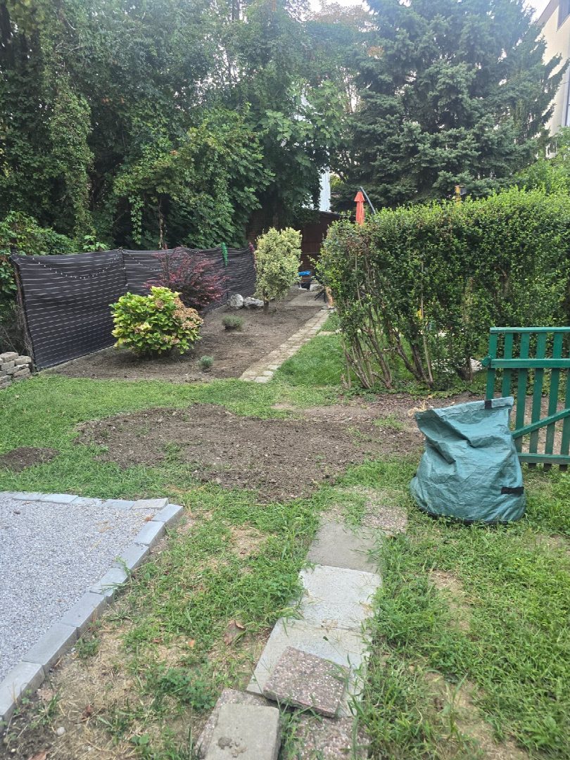 Before: the original yard photo