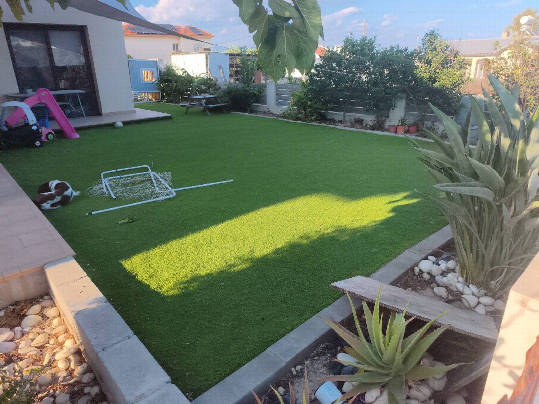 Before: the original yard photo