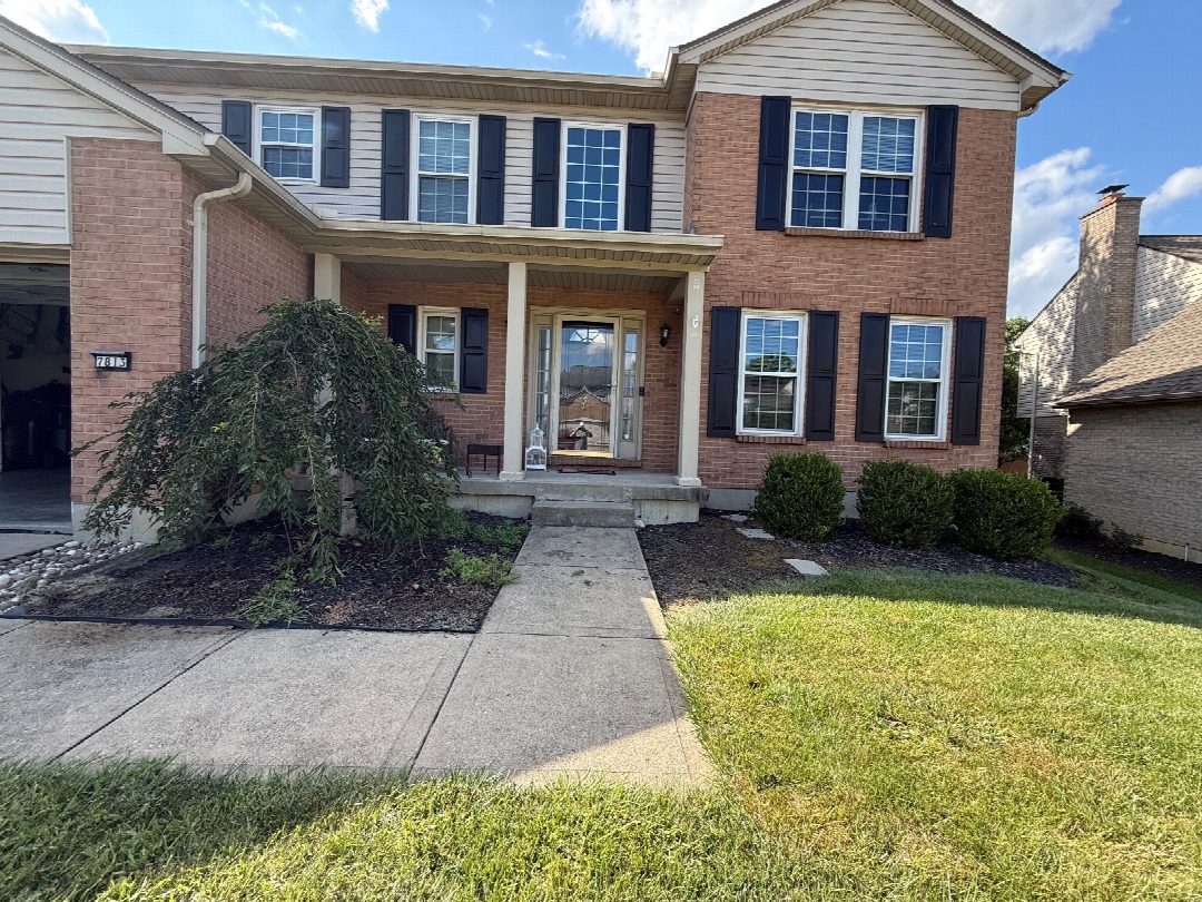 Before: the original yard photo