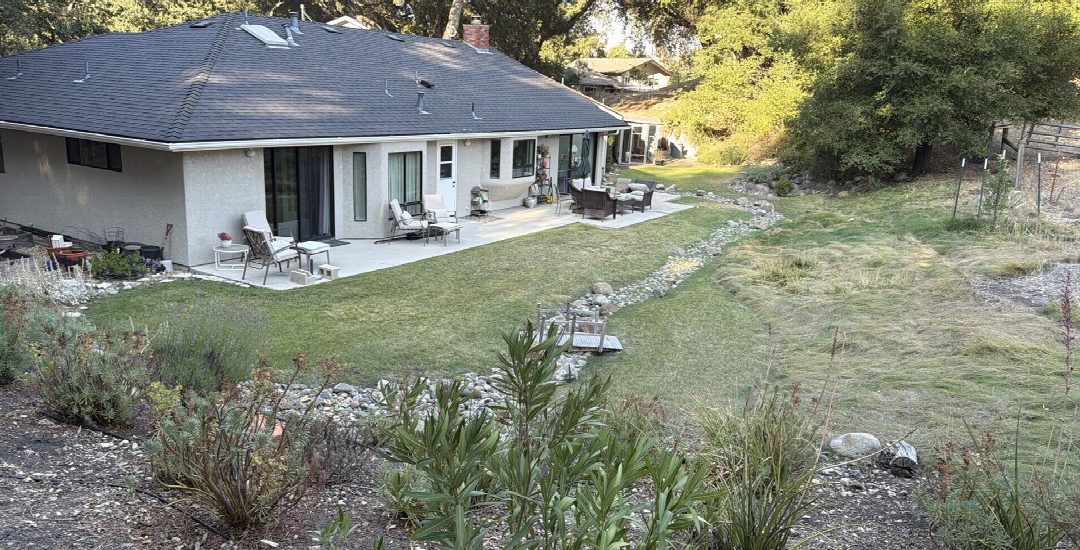 Before: the original yard photo