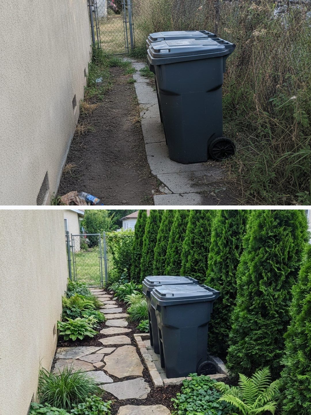 Before and after: yard remixed into Arborvitae with YardRemix AI