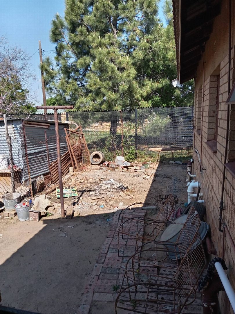 Before: the original yard photo