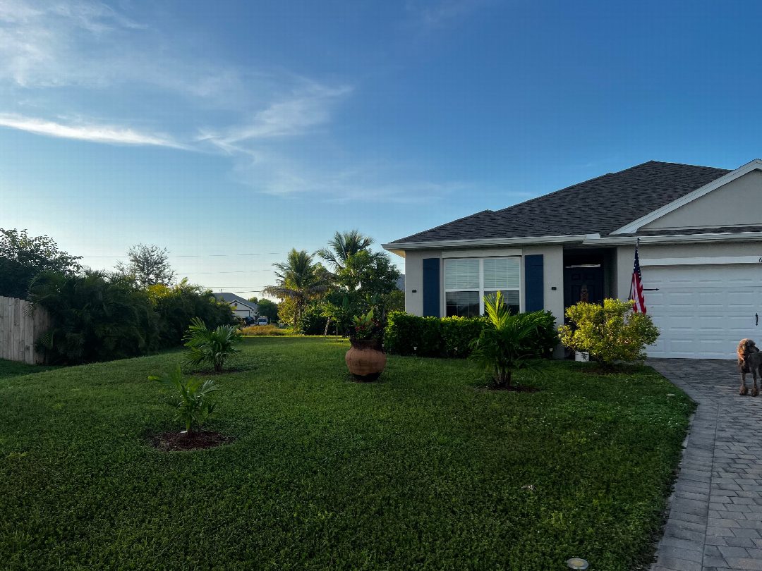 Before: the original yard photo