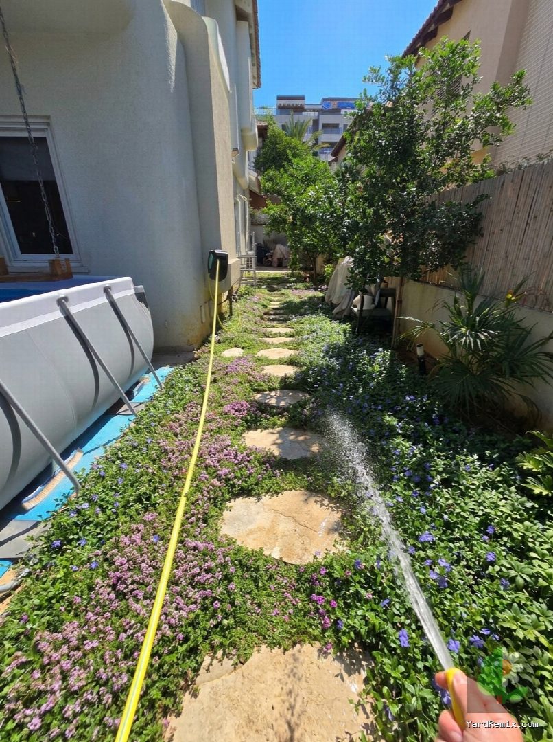 After: the yard remixed into Ground Cover by YardRemix AI