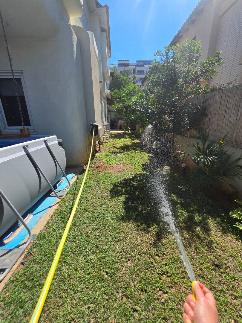 Before: the original yard photo