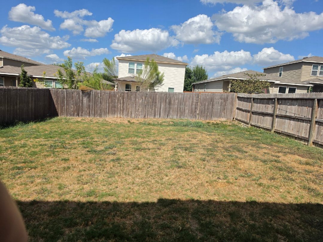 Before: the original yard photo