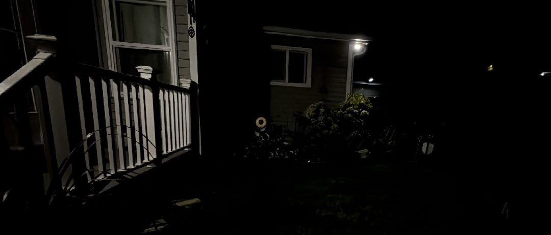 Before: the original yard photo