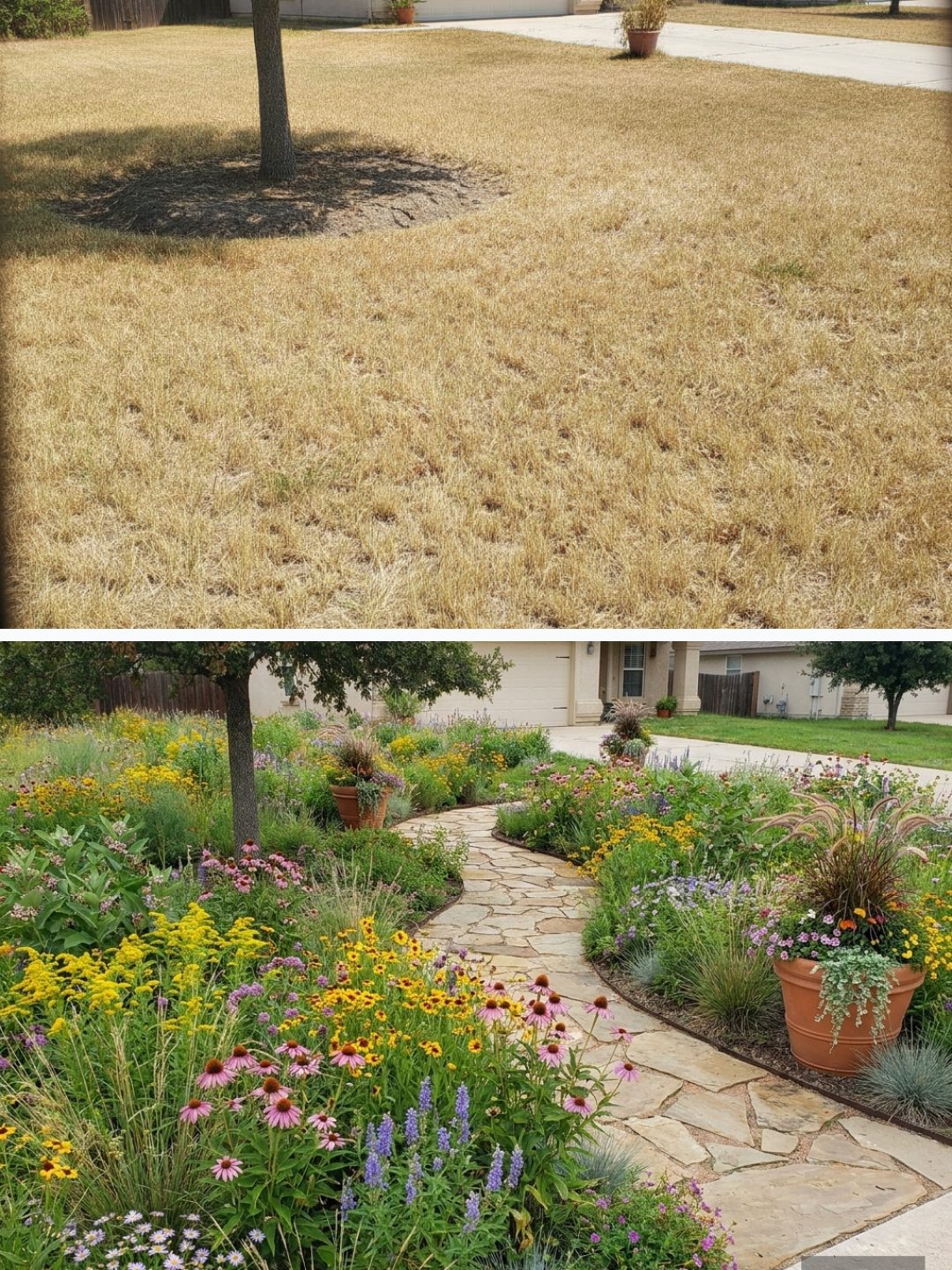 Before and after: yard remixed into Wildflower Meadow with YardRemix AI
