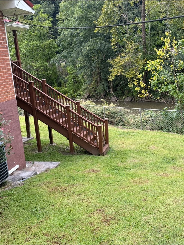 Before: the original yard photo