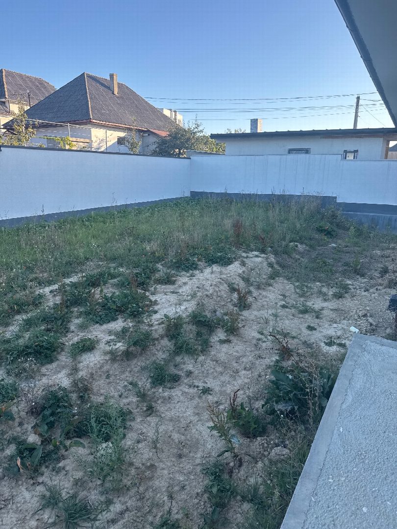 Before: the original yard photo