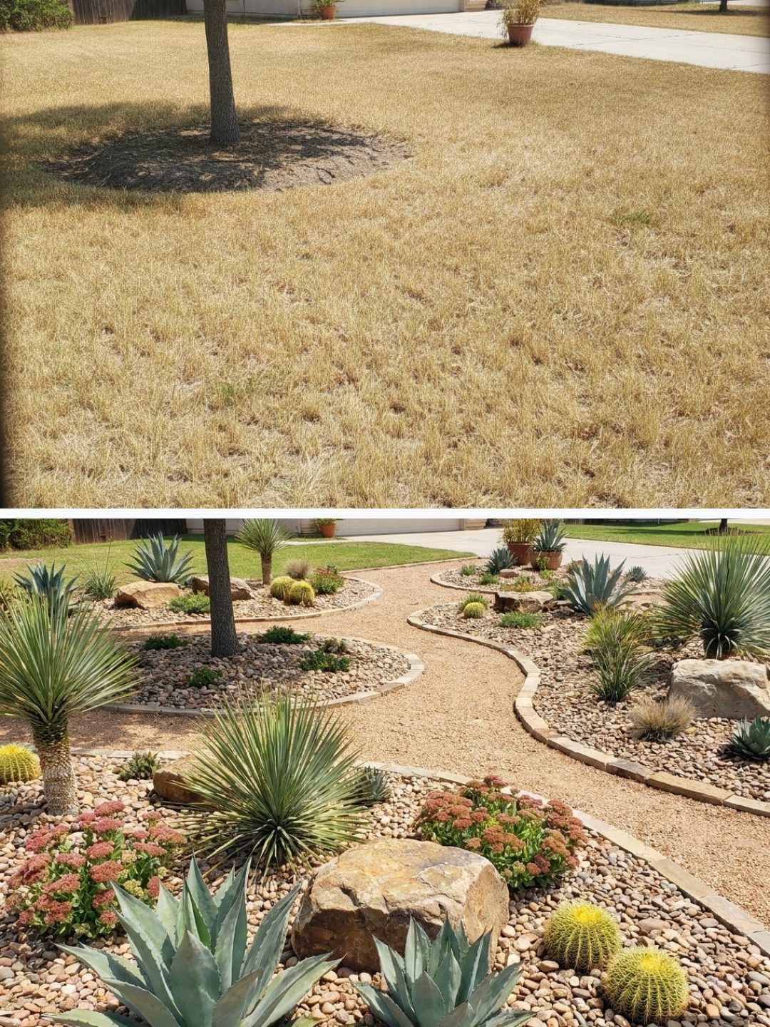 Before and after: yard remixed into Desert Xeriscape with YardRemix AI