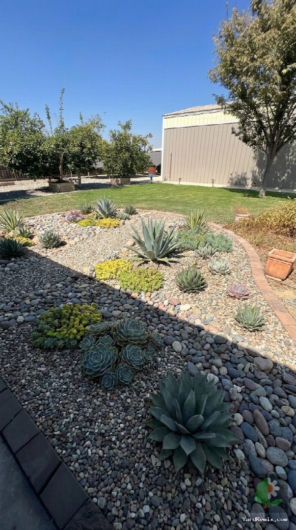 After: the yard remixed into Succulent Garden by YardRemix AI