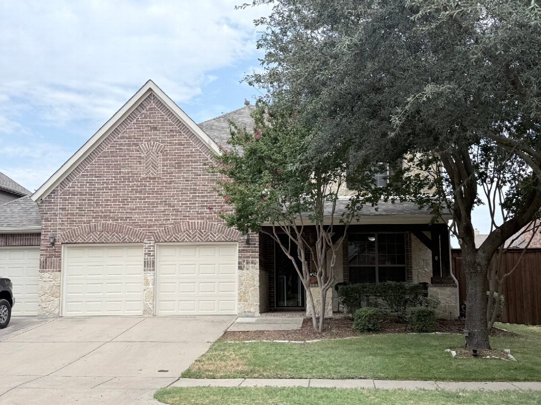 Before: the original yard photo