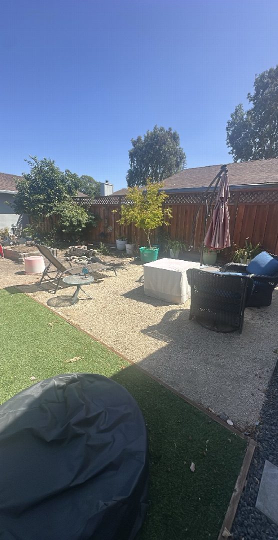 Before: the original yard photo
