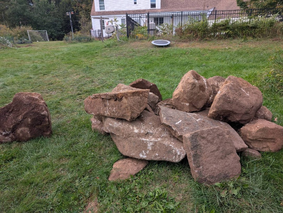 Before: the original yard photo