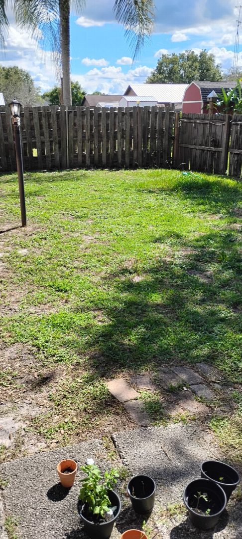 Before: the original yard photo