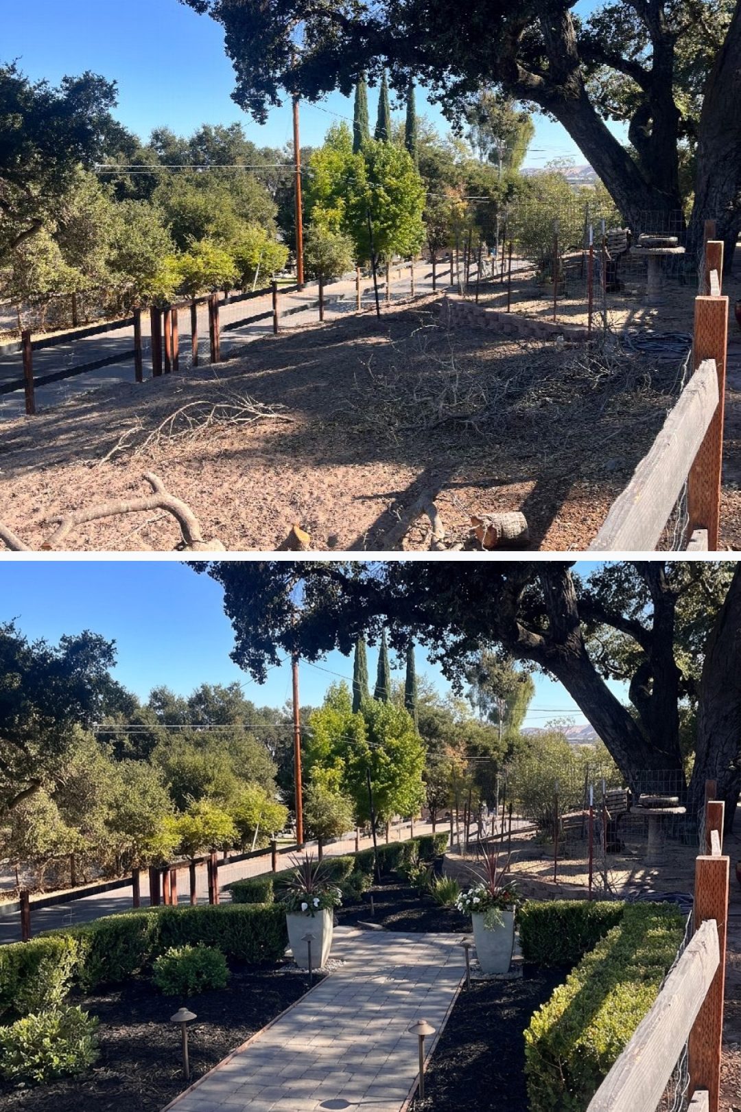 Before and after: yard remixed into Professional Curb Appeal with YardRemix AI