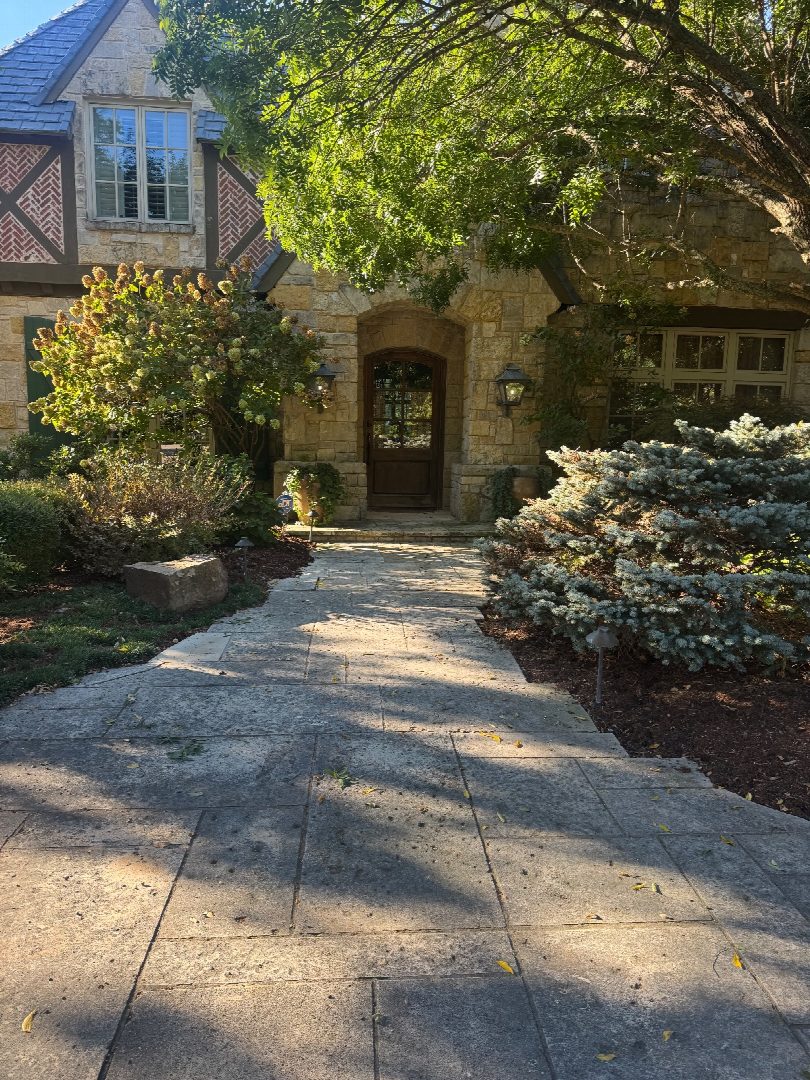 Before: the original yard photo