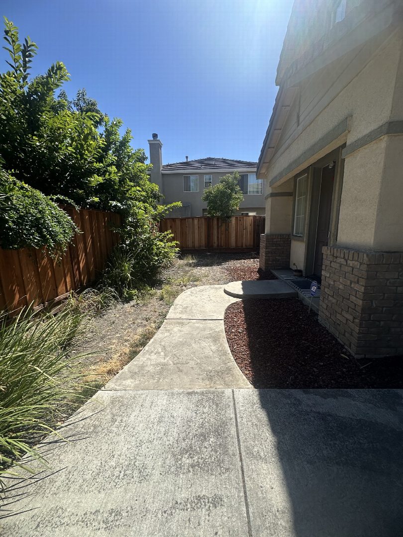 Before: the original yard photo