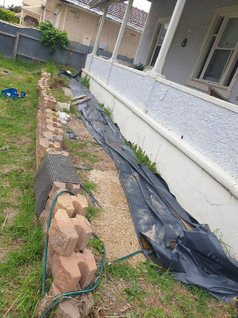 Before: the original yard photo