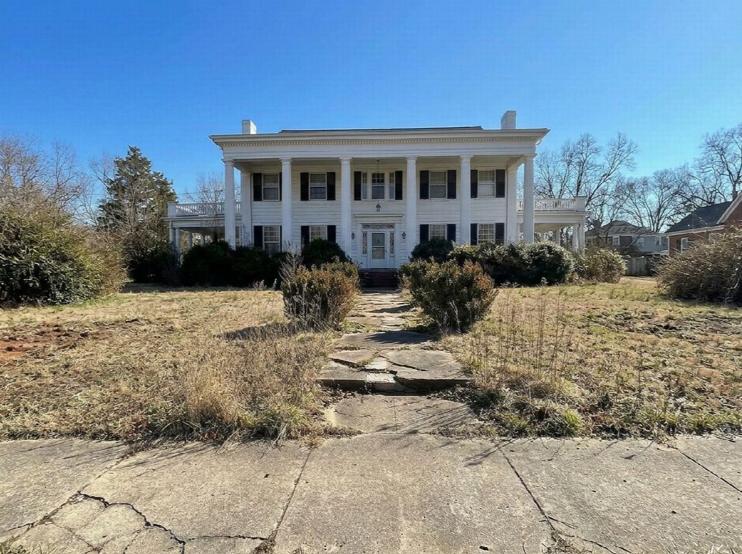 Before: the original yard photo