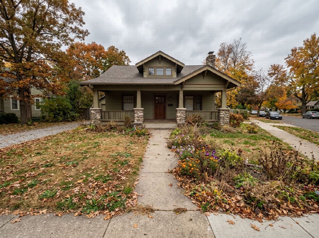 Before: the original yard photo
