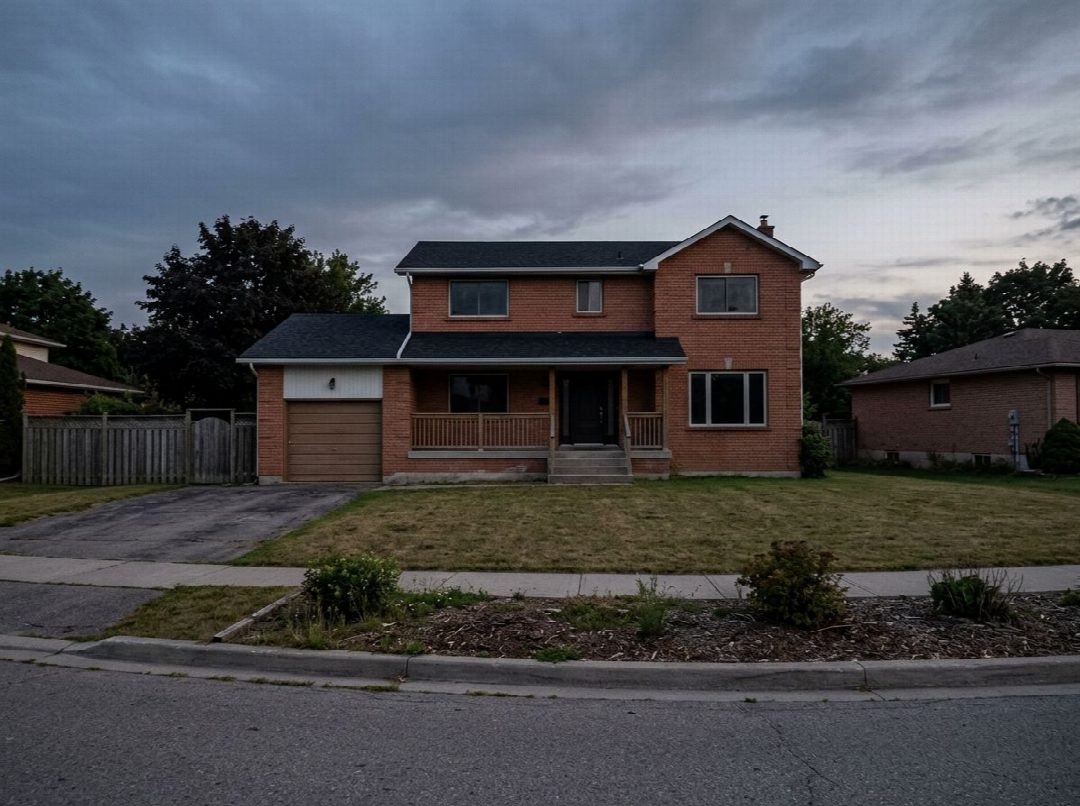 Before: the original yard photo